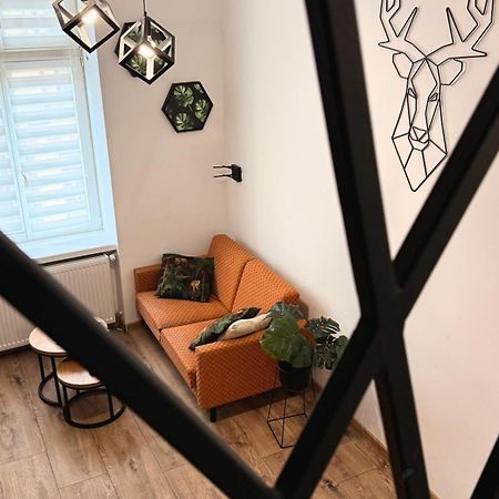 Apartamenty Dream Place Z Klimatyzacja Stary Toruń Exteriér fotografie