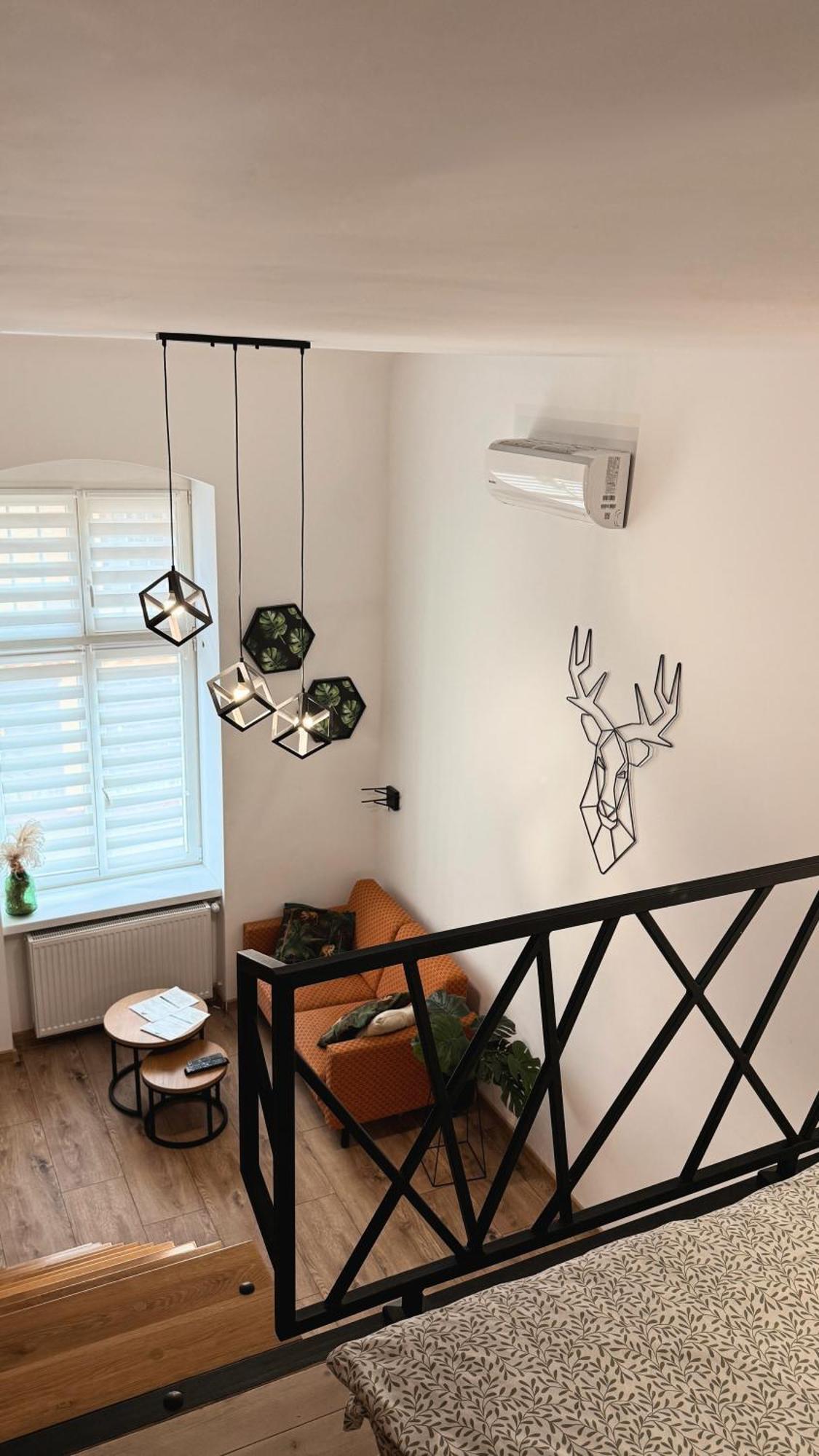 Apartamenty Dream Place Z Klimatyzacja Stary Toruń Exteriér fotografie